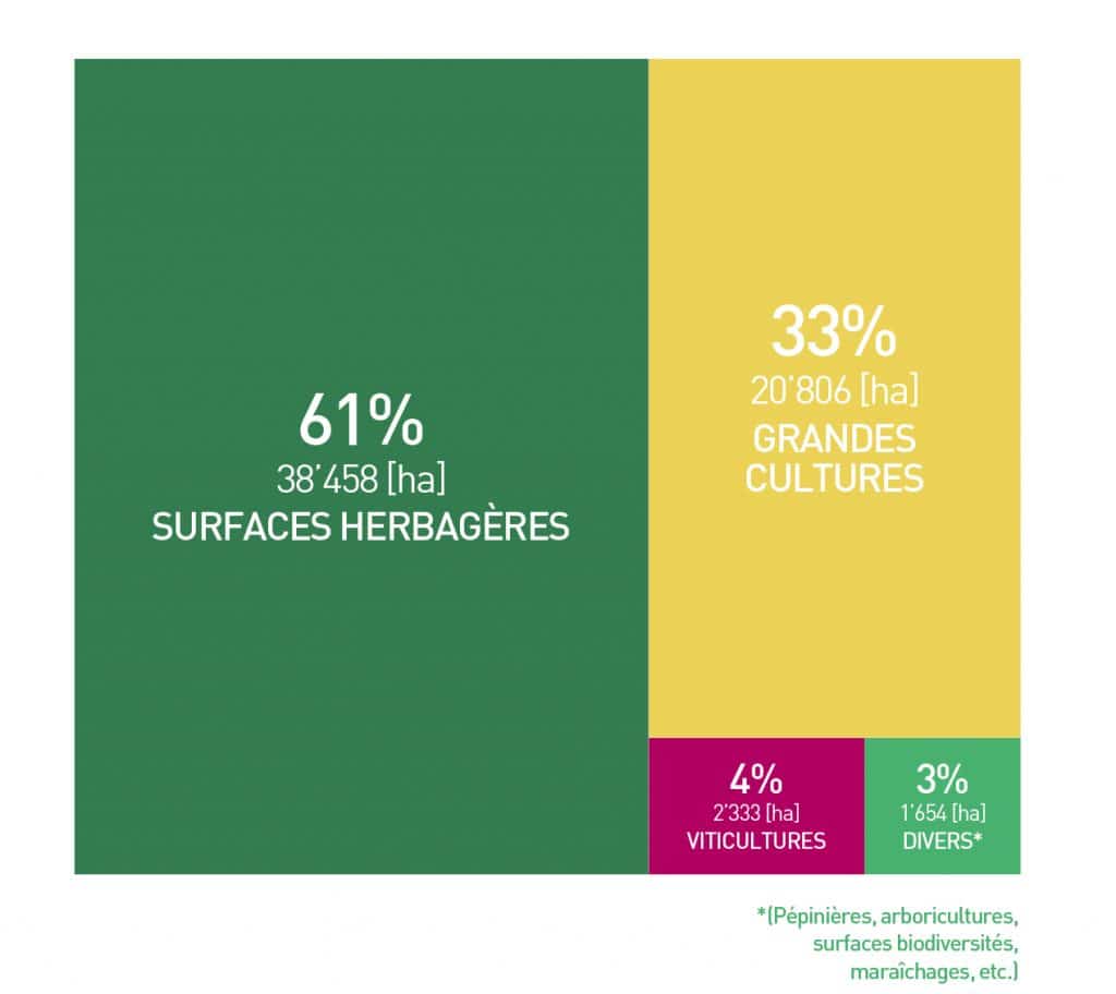 Graphique de répartition par types de surfaces agricoles